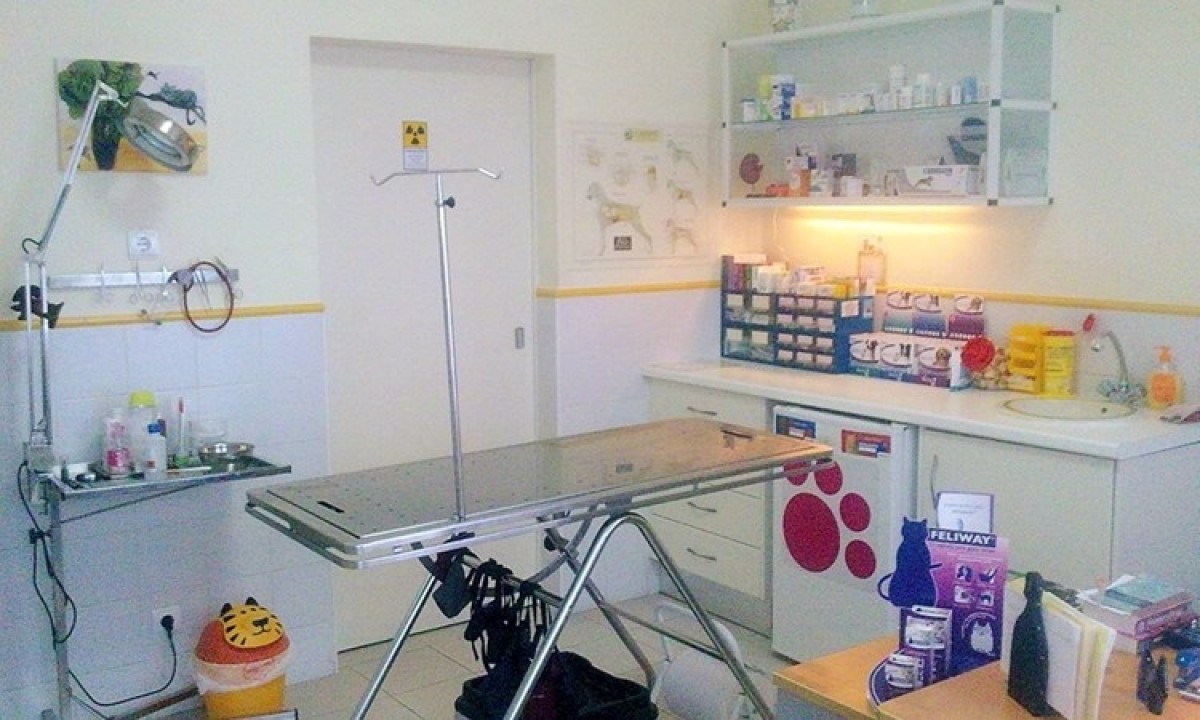 Clínica veterinária